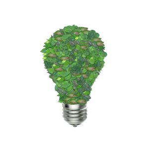 green-bulb-1440675_1280